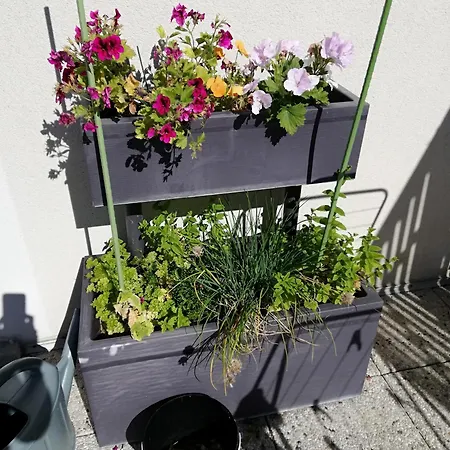 Vie De Famille * Camiers